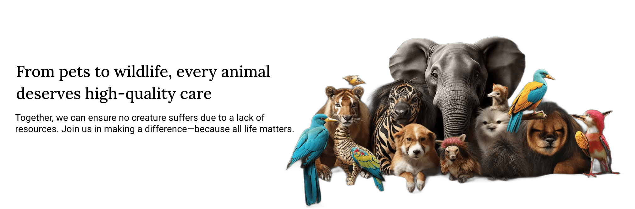 hammy-banner-01